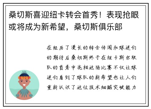 桑切斯喜迎纽卡转会首秀！表现抢眼或将成为新希望，桑切斯俱乐部