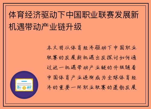 体育经济驱动下中国职业联赛发展新机遇带动产业链升级