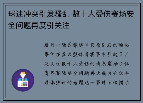 球迷冲突引发骚乱 数十人受伤赛场安全问题再度引关注